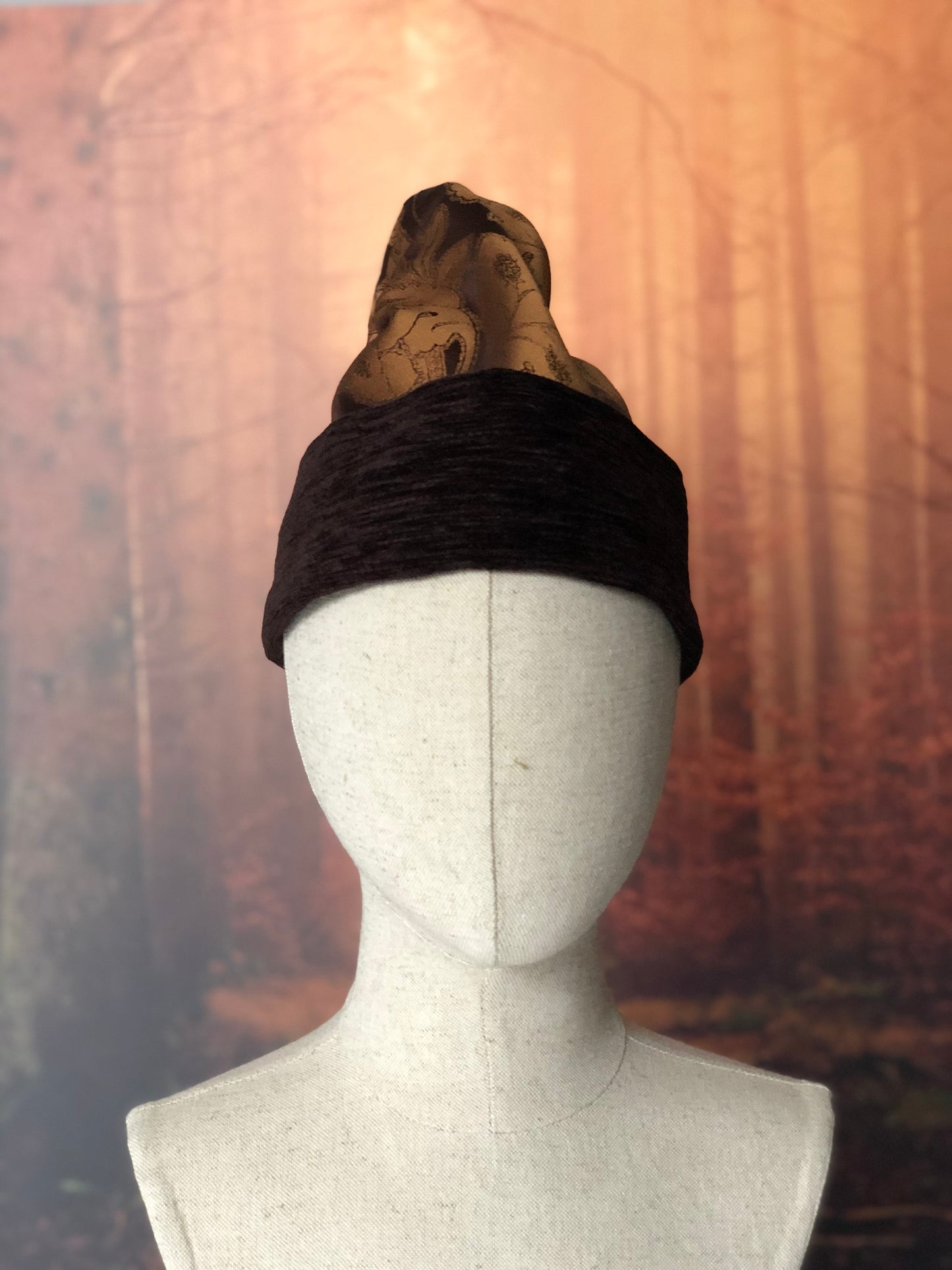 wizard / witch hat magical world in gold and brown tones